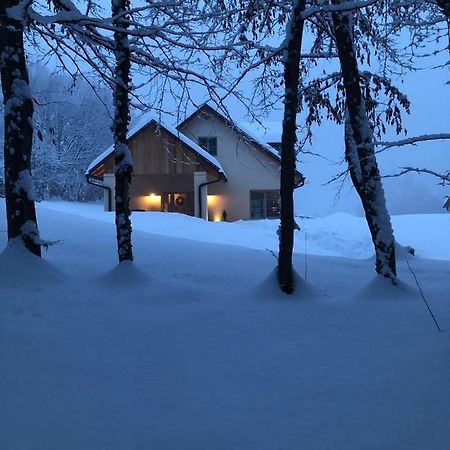 Loft Naturalpina Dolomiti Farm Беллуно Экстерьер фото